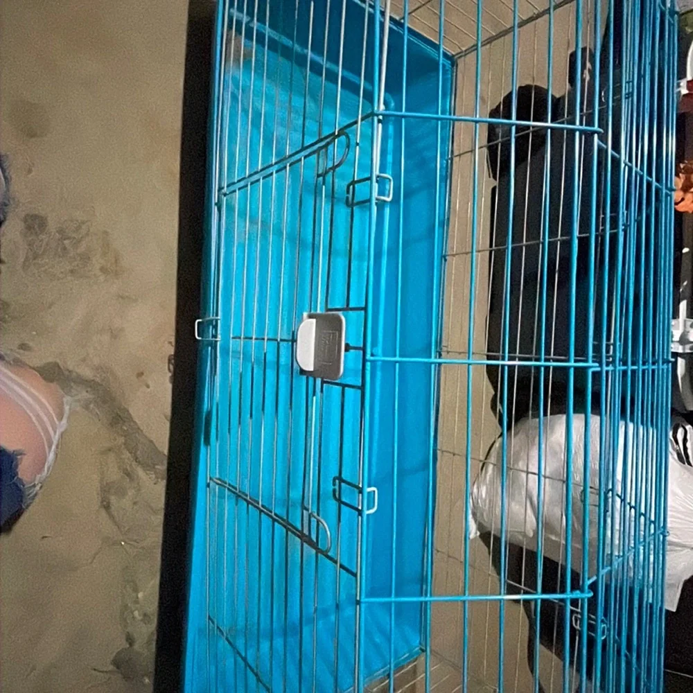 Guinea pig cage for sell